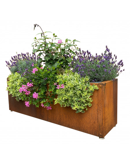 P_286757_1 wetterfester Pflanzentrog aus Cortenstahl gefüllt mit verschiedenen Blumen.  mh140-0500-1500-380 Pflanztrog 1500mm Corten