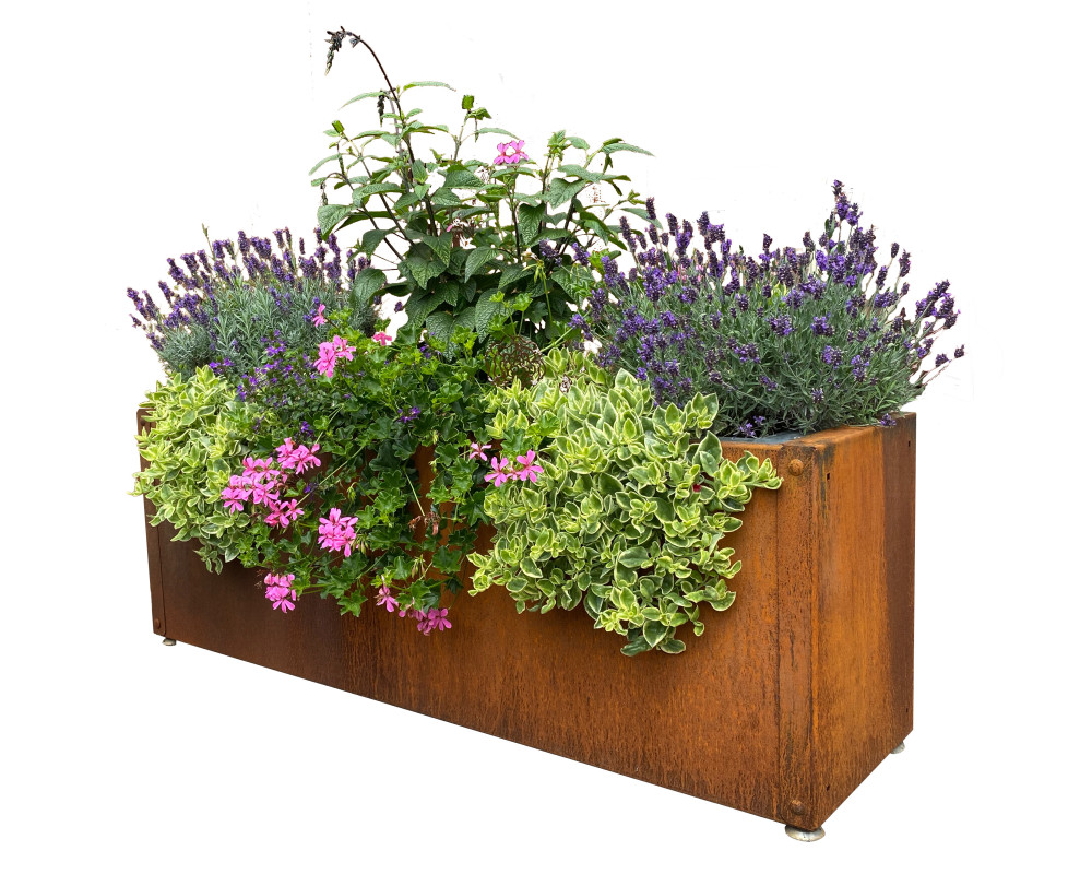 P_286757_1 wetterfester Pflanzentrog aus Cortenstahl gefüllt mit verschiedenen Blumen.
