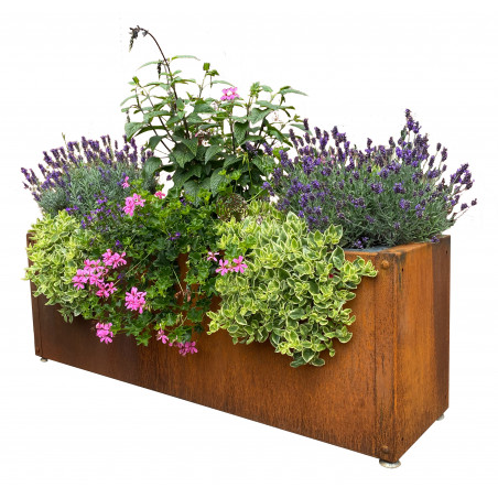 P_286757_1 wetterfester Pflanzentrog aus Cortenstahl gefüllt mit verschiedenen Blumen.